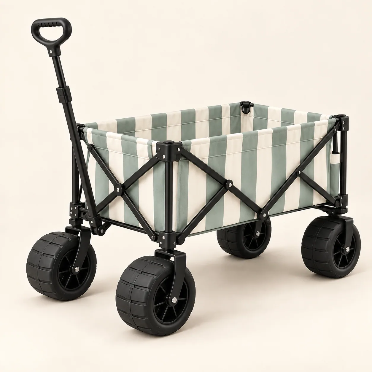 Beach Carts